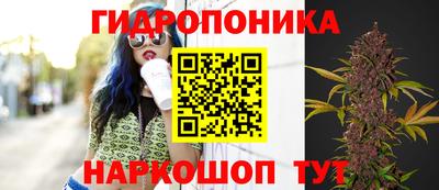 гашиш Будённовск