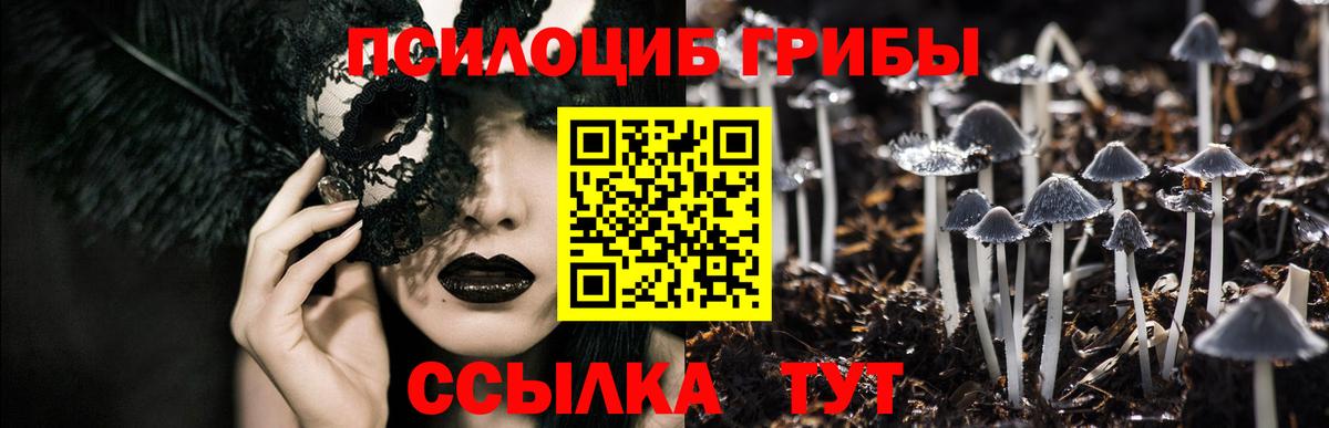 Похвистнево  Псилоцибиновые грибы Magic Shrooms  Вход с VPN 